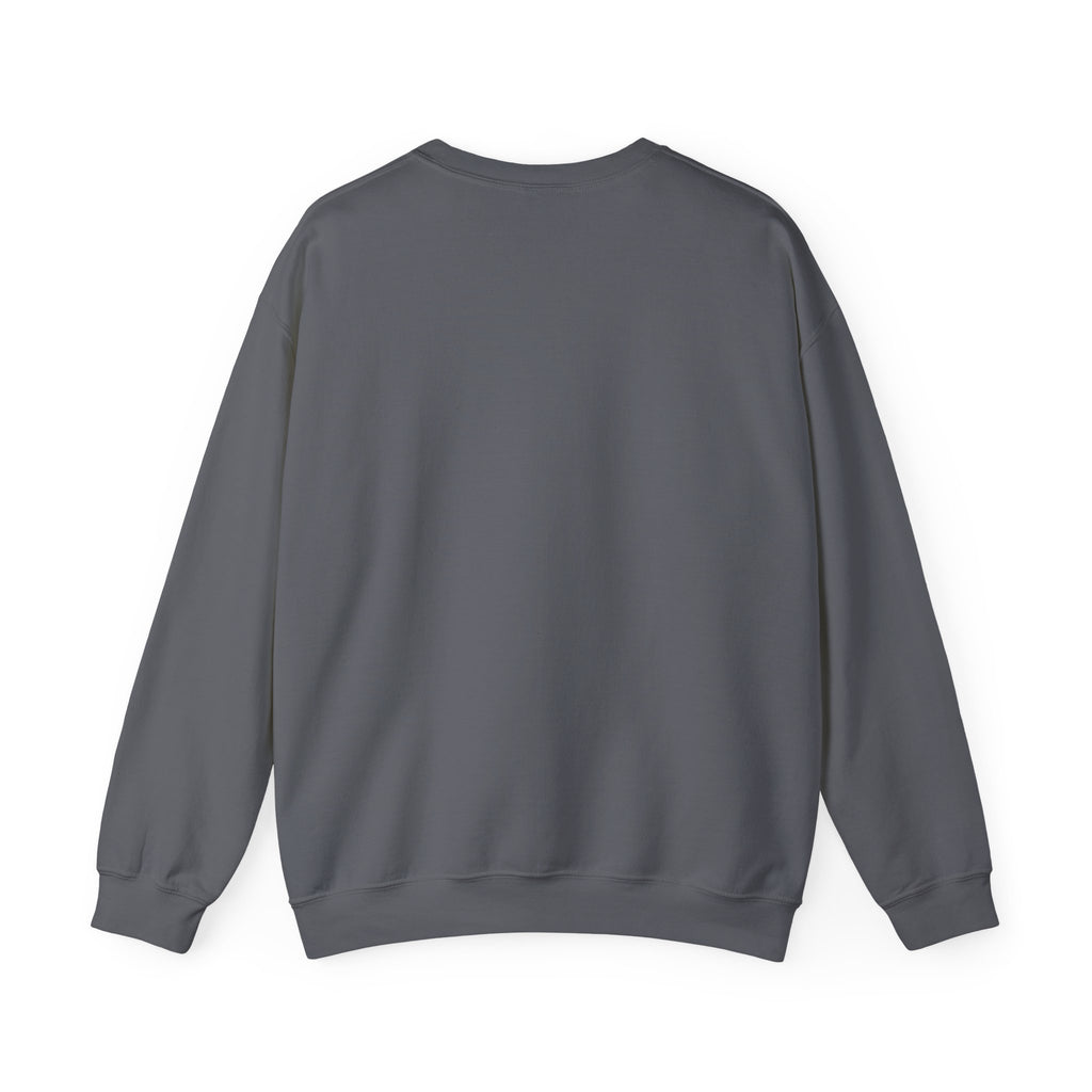 Kinitro Varsity Crewneck