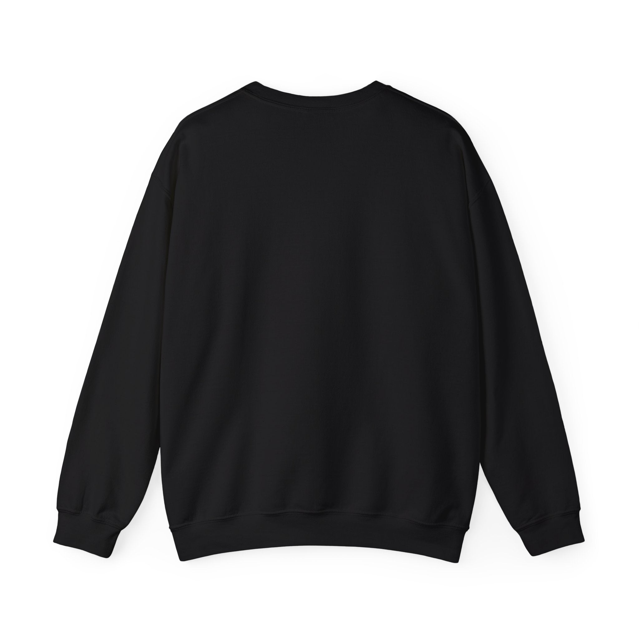 Kinitro Varsity Crewneck