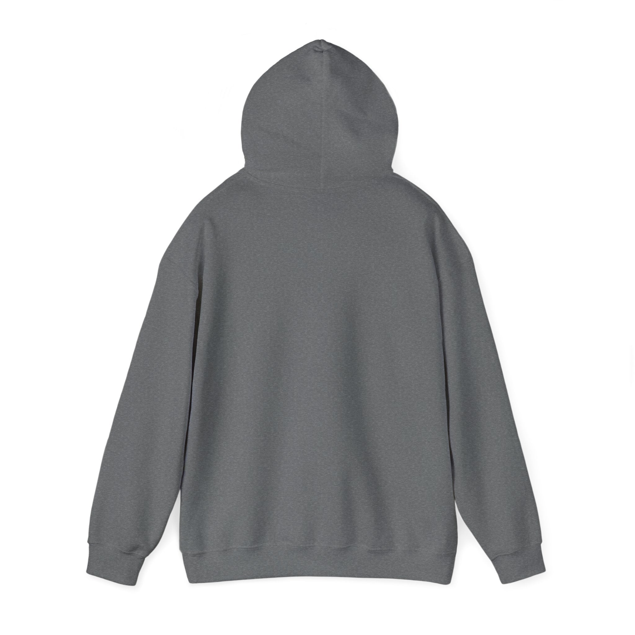 Kinitro Sword Hoodie