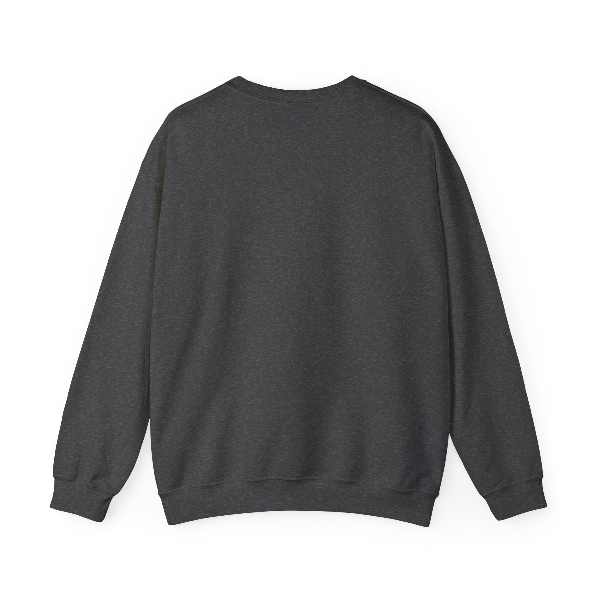 Kinitro Varsity Crewneck