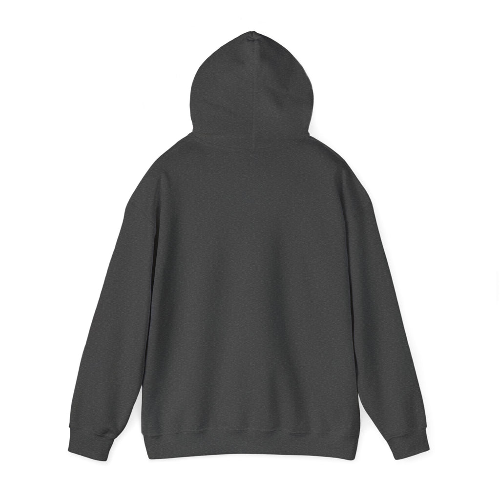 Kinitro Sword Hoodie
